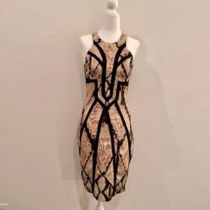 Seduce Body Hugging Dress